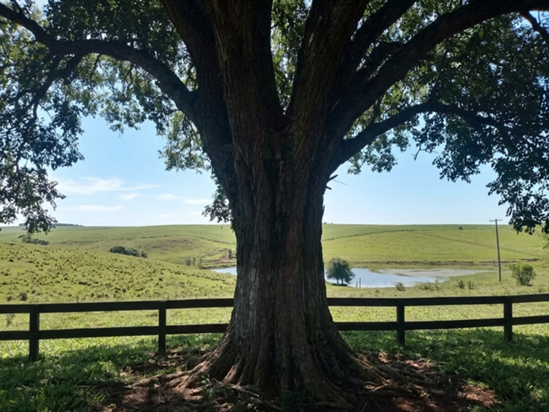 Onde o Olhar Se Perde e a Alma Se Encontra